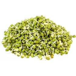 Moong Sprouts (150 g) Moong Sprouts (150 g)