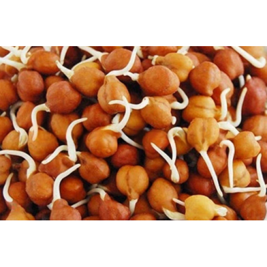 Channa Sprouts (150 g)