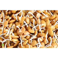Horse Gram Sprouts/Kulthi (150 g)