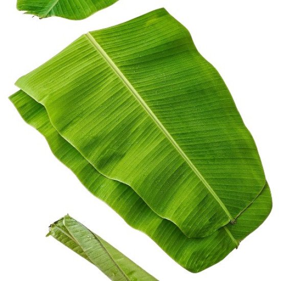 Banana Leaves (5 Pcs)