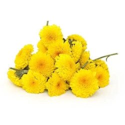 Sevanthige/Chrysanthemum (100 g) Sevanthige/Chrysanthemum (100 g)