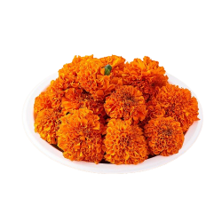 Marigold Orange (100 g) Marigold Orange (100 g)