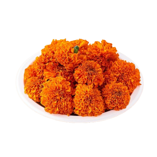 Marigold Orange (100 g)