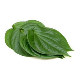 Betel Leaves / Paan  (5 Pcs) Betel Leaves / Paan  (5 Pcs)