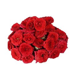 Rose (100 g) Rose (100 g)