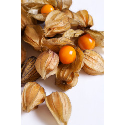 Rasbhari/ Mahabaleshwar Gooseberry (170g)
