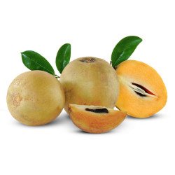 Chikoo/Sapota (500 g)