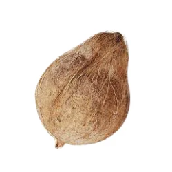 Coconut 1 Pc Coconut 1 Pc
