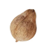 Coconut 1 Pc