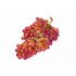 Grapes Seedless - Crimson Red (250 g)