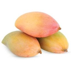Totapuri Mango Raw 1 Pc (300-450g) Totapuri Mango Raw 1 Pc (300-450g)