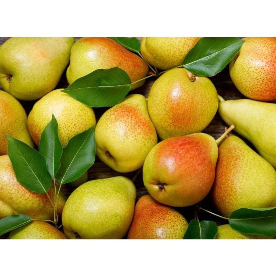 Pears - Beauty/Forelle 2 Pc (300-360 g)