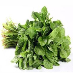 Arve/Harive Soppu (Arai Keerai) Arve/Harive Soppu (Arai Keerai)