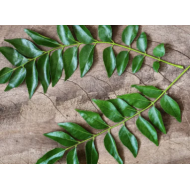 Currry Leaves Bunch