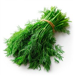 Dill Leaves/Sabaki Soppu Dill Leaves/Sabaki Soppu