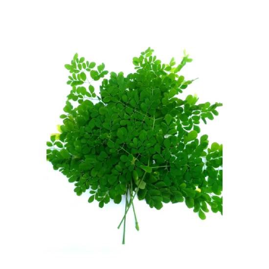 Drumstick Leaves/Moringa Leaves