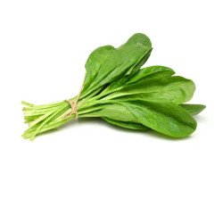 Spinach/Palak Spinach/Palak