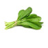 Spinach/Palak