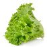 Lettuce - Green (Approx-150 g)