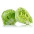 Lettuce - Iceberg 1Pc (250-350 g)