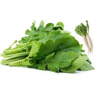 Radish Leaves  Radish Leaves