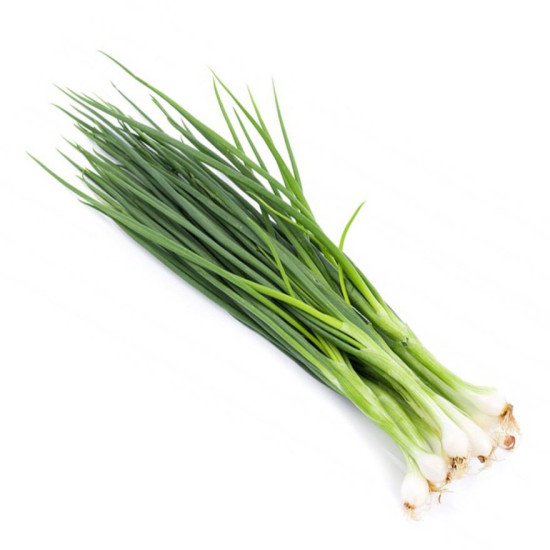 Spring Onion Bunch