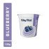 Milky Mist Blueberry Yogurt (100 g)