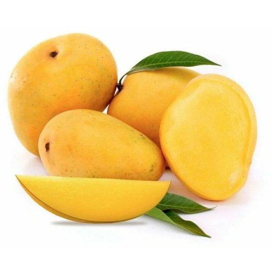 Banganapalli Mango 2 pcs (650 - 800 g)