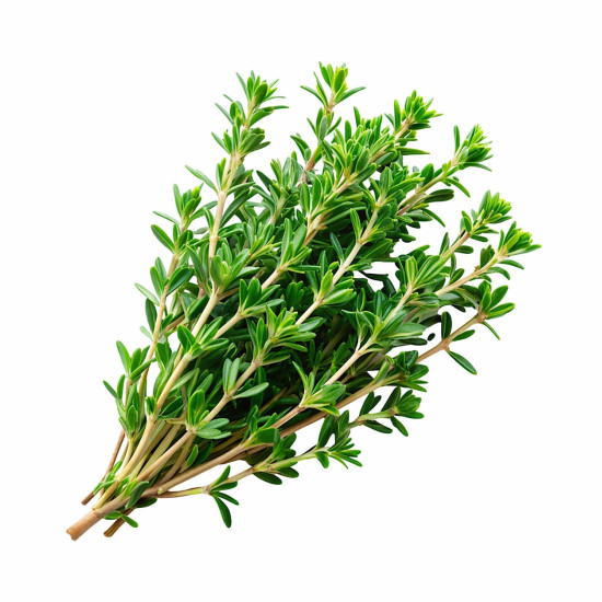 Thyme (50 g)