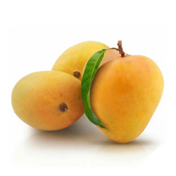 Badami Mango (3pcs) (500-650grams)