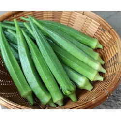 Ladyfinger (500 g) Ladyfinger (500 g)