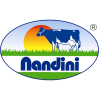 Nandini