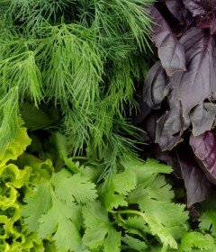 Leafy Vegetables