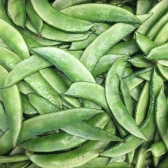 Broad Beans/Seam Phalli (250 g)