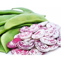 Double Beans (250 g) Double Beans (250 g)