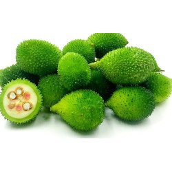 Kakrol/Spiny Gourd (500 g) Kakrol/Spiny Gourd (500 g)