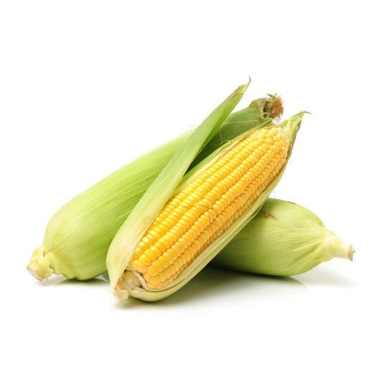 Sweet Corn/American Corn 1 Pc (PREMIUM)