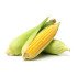 Sweet Corn/American Corn 1 Pc (PREMIUM)