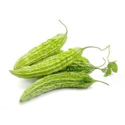 Bitter Gourd White (500 g) Bitter Gourd White (500 g)