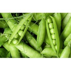 Nati Green Peas/Desi Matar (250 g) Nati Green Peas/Desi Matar (250 g)