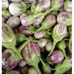 Local Small Brinjal (250 g) Local Small Brinjal (250 g)