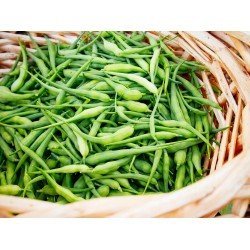 Mogri / Radish Pods (500 grams)