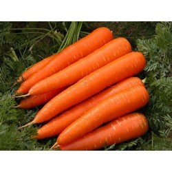 Carrot Ooty (500 g) Carrot Ooty (500 g)