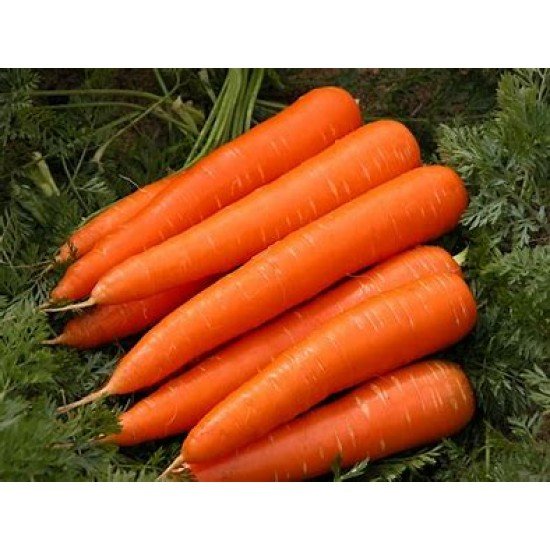 Carrot Ooty (500 g)