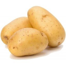 Potato (1 Kg) Potato (1 Kg)