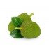 Raw Jackfruit 1Pc (500-900 g) Raw Jackfruit 1Pc (500-900 g)