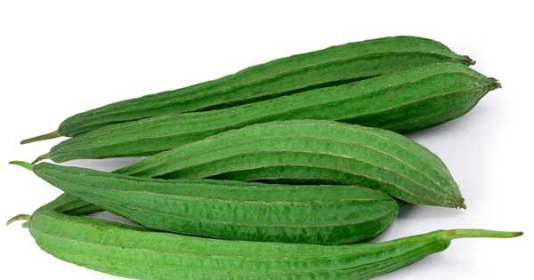 Ridge Gourd