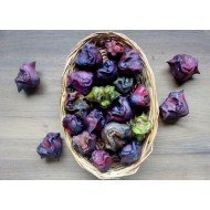 Water Chestnut (500 grams) Water Chestnut (500 grams)