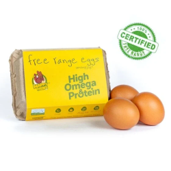 Happy Hens Free-Range Egg(6 pcs)
