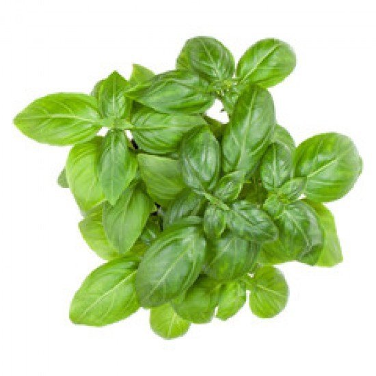 Basil Leaves (100 g)